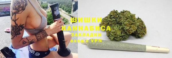 мдпв Новодвинск