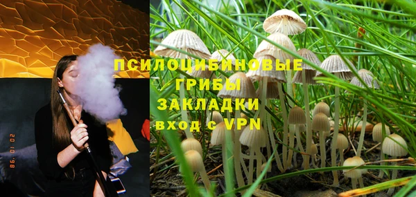хмурый Богородск