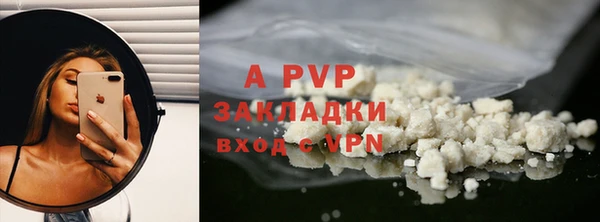 стафф Богородицк