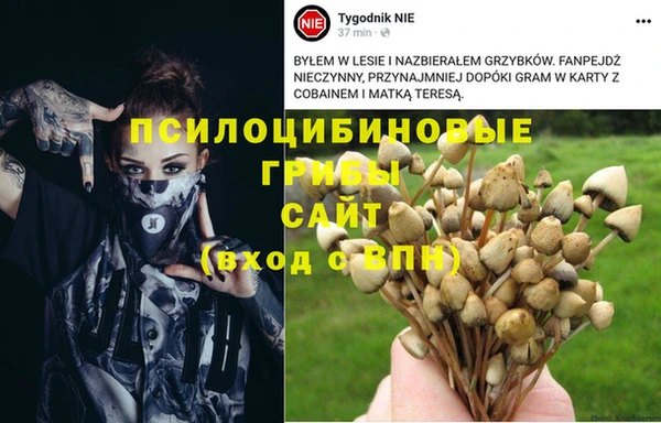хмурый Богородск
