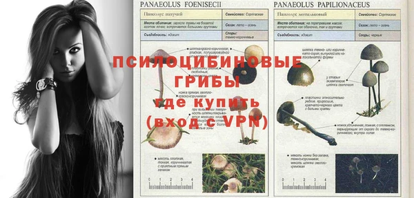 мдма Богданович