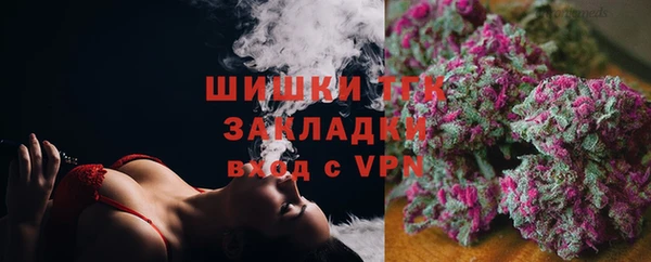 стафф Богородицк