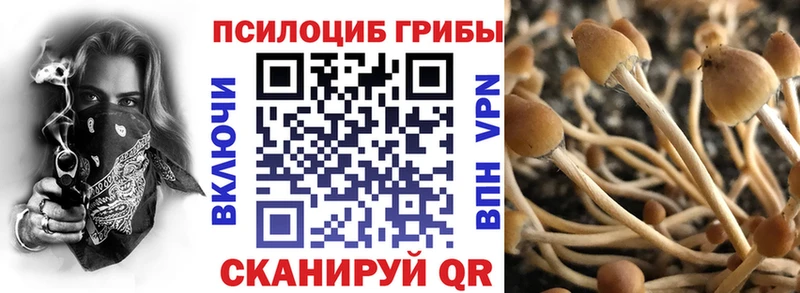 hydra ссылка  хочу наркоту  Новоульяновск  Псилоцибиновые грибы прущие грибы 
